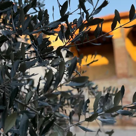 Casa Di Nina *